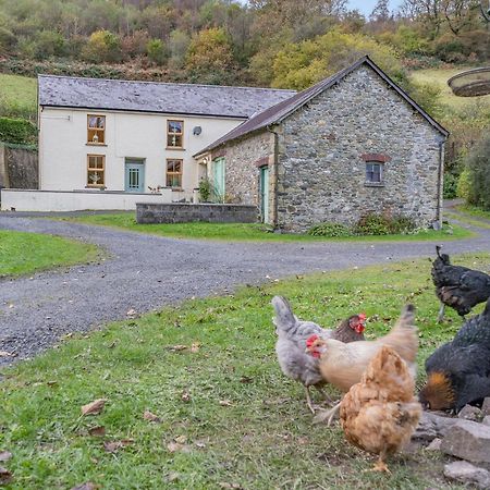 Pwll Farmhouse Llanllawdog المظهر الخارجي الصورة