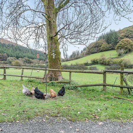 Pwll Farmhouse Llanllawdog المظهر الخارجي الصورة