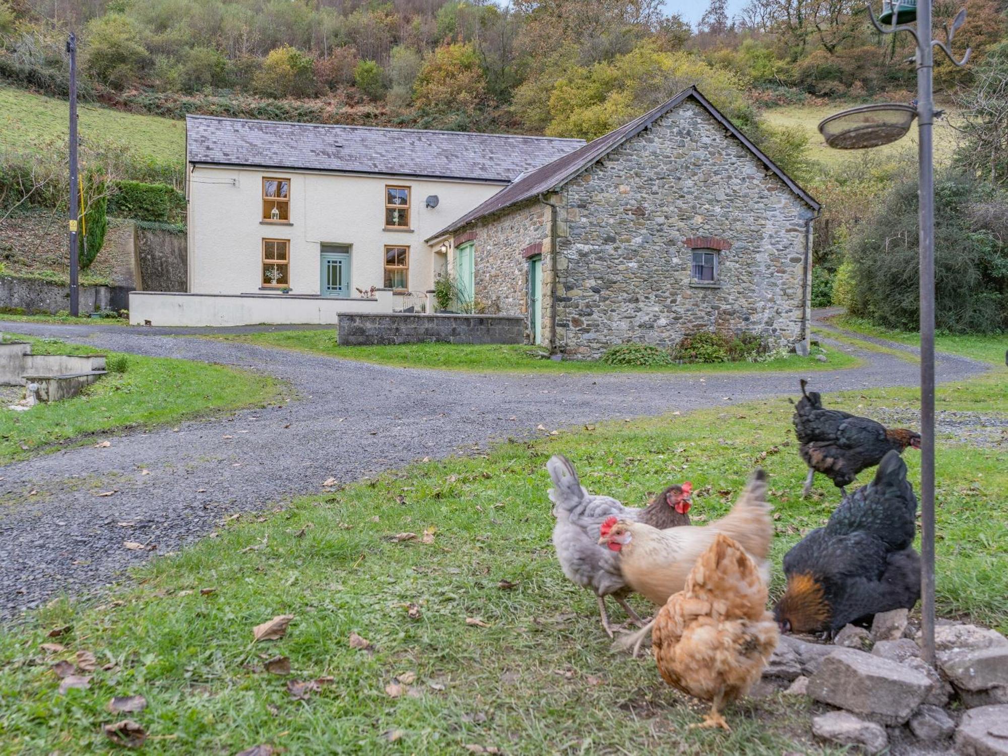 Pwll Farmhouse Llanllawdog المظهر الخارجي الصورة