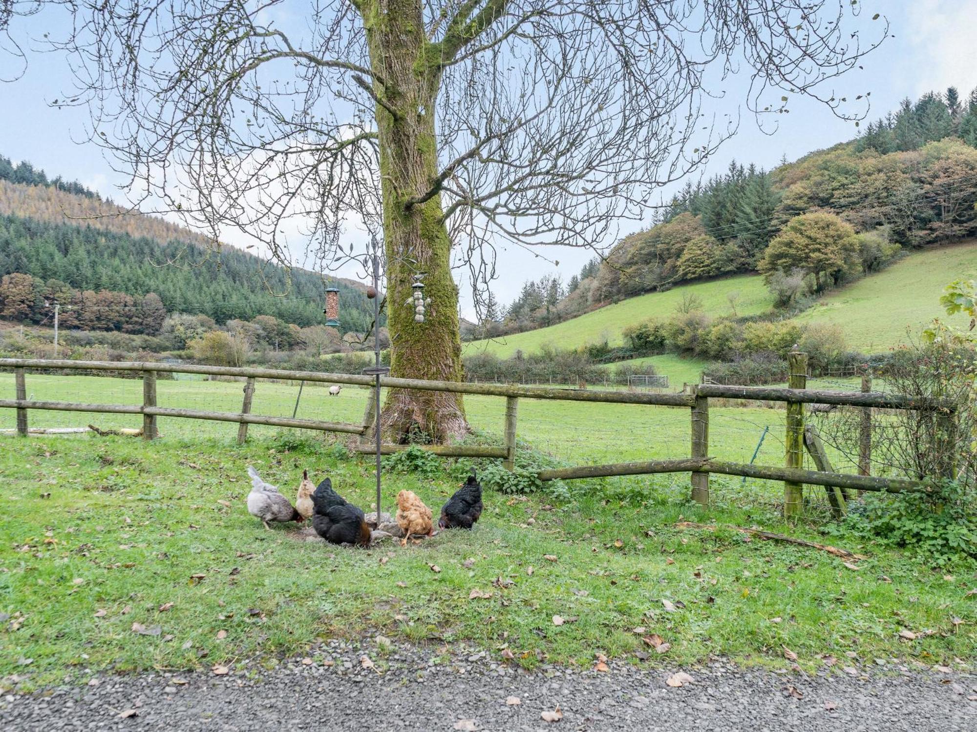Pwll Farmhouse Llanllawdog المظهر الخارجي الصورة