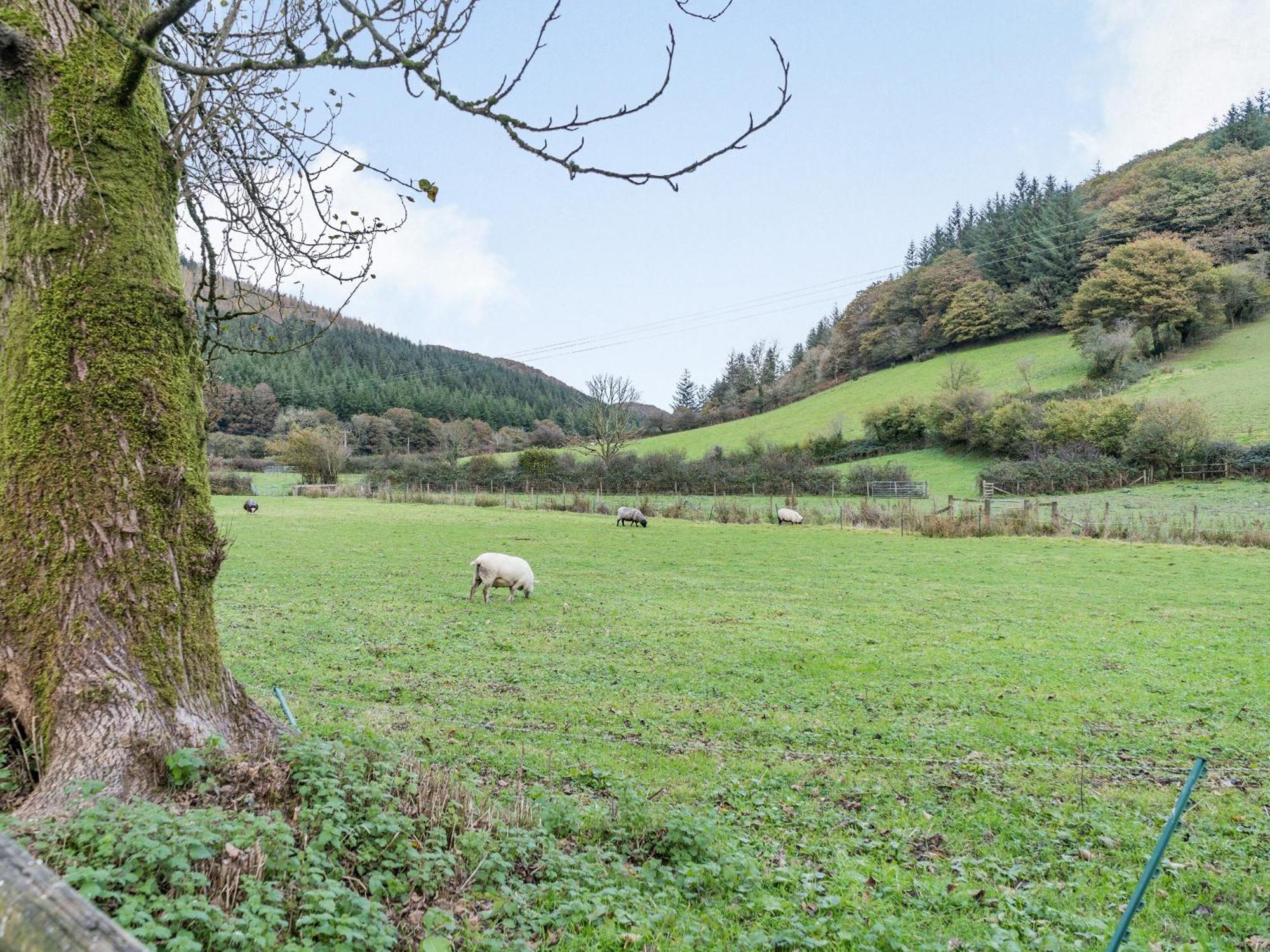 Pwll Farmhouse Llanllawdog المظهر الخارجي الصورة